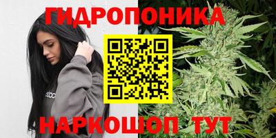 стаф Ипатово