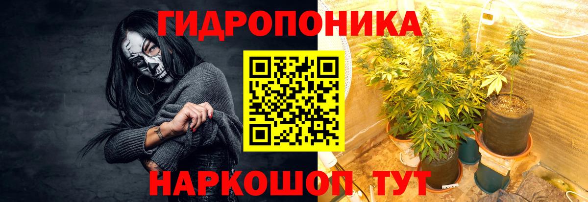 Шишки марихуана конопля  Вход с VPN  Киселёвск  Шишки марихуана тримм 